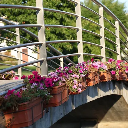 Casa De Sao Cristovao Gasthuis Boticas